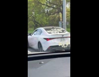 Vandalized accusations seen on the white car