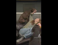 Dog pushes girl back of head with paw 