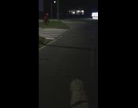 Golden retriever dog scared of red statue 