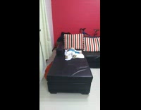 What the fluff challenge dad scares baby on black couch makes it cry