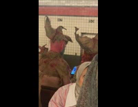 Man in scarecrow demon blood costume scrolls through phone at subway station
