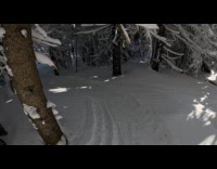 GoPro of skier knocked over by branch