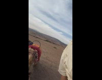 Collab IITW - Camel tries to bite woman posing with it 