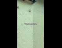 Man sees only house built on mountain