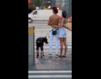 Couple intimate moment waiting to cross road