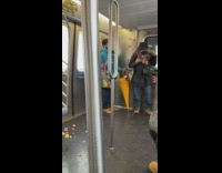 Lost Pigeon Flies Franticly inside Subway Train