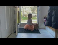 Little girl and cat look out door