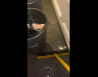 Person wipes water with broom and buckets Part 1