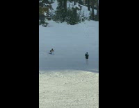 Lady Climbs Up Slope and Slides Down