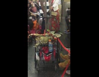 Man brings three pet iguanas with him onto the subway in rolling cart