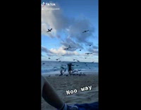 Man on beach covered in birds 