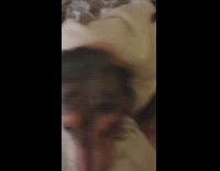 Dog chew head hole in the blanket