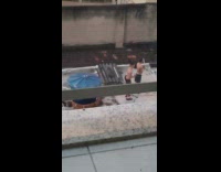 Two shirtless men tiktok dance on the rooftop