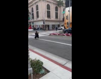 Woman fur coat crouch pose middle road