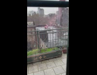 Person rides bicycle with pink smoke bomb 