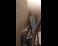 Mosquito on the wall bounces near some files