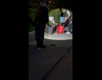 Eel on ground near man with flashlight