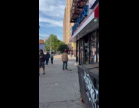 Bird sit on red hat of man