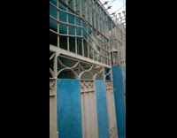 Orange cat hangs holds onto metal gate 