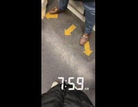 Golden labrador rides the subway train