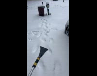 Mans car covered in snow and ice 
