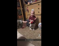 Little girl asked about bear in hand 