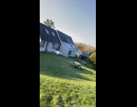 Collab BitchMP - White duck flies towards house into wall