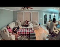 Dog does parkour on couch