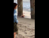 Couple baby photoshoot near beach bikini photoshoot