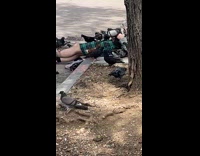 Pigeons all over guy lay on street