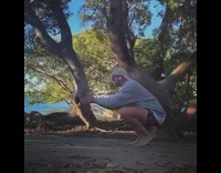 Guy fist bumps large grey white dog 