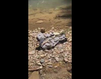 Red hat guy beer can fishing vest rod 