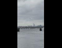 Black kite that looks like a jellyfish 