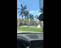 Man violet jacket dance beside pool american flag