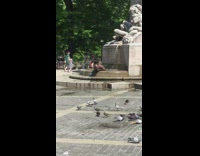 Guy swims in water fountain 