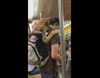 Guy has brown dog in backpack on subway 
