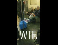 Black and white pitbull dog sits on striped towel while woman pets its head on subway