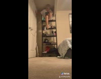 Collab VIBES - Guy climbs on shelf and says hes spiderman, then falls and hurts back