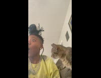 Grey brown cat kisses yellow shirt girl 
