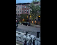 Full of parked cars on street side