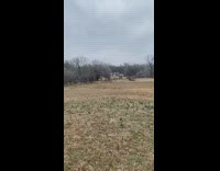 Collab BitchMP - Small horse screams chases after horse