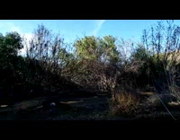 Collab SendItOfficiall - Man Leans Bike Forward Much Midair and Fails