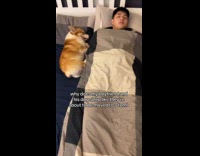 Boyfriend and dog sleeps like in tomb