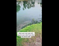 Woman makes bet with husband if she can find golf balls at golf course