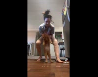 Orange cat with tape on paws standing up