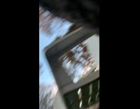 Puppy runs away owner phone filming her