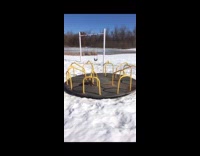 Golden retriever sits on spinning roundabout at the park 
