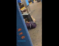 Guy sitting on bench in subway station eating crab legs 
