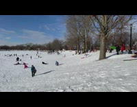 Kids ride sleds down snow hill park