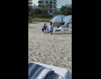 Man calls crew pose dog chair beach